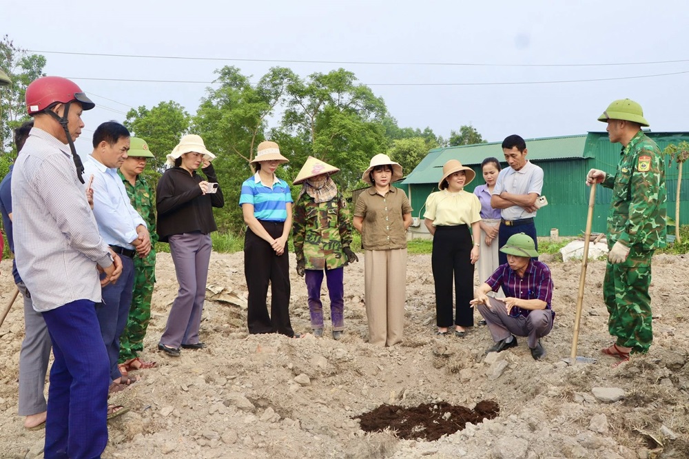 Trồng cây Gấc đúng kỹ thuật – hướng đi nâng cao thu nhập