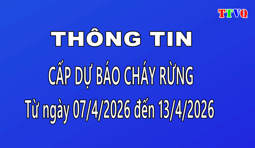CẢNH BÁO CHÁY RỪNG TRONG NHỮNG NGÀY NẮNG, NÓNG