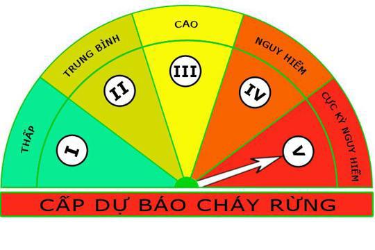 Chi cục Kiểm lâm Hà Tĩnh cảnh báo nguy cơ cháy rừng cấp cực kỳ nguy hiểm  